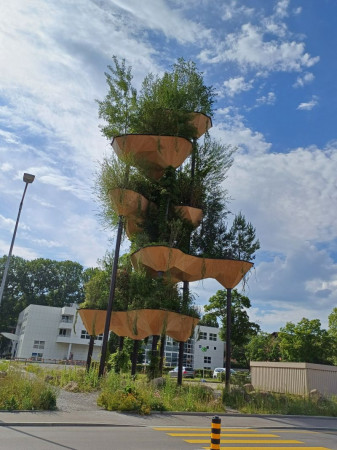 tech cluster 002